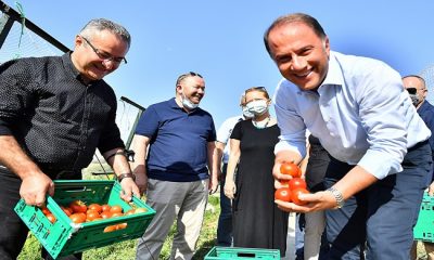 BAŞKAN ÇALIK YAŞAM BAHÇESİ’NDE HASADA KATILDI