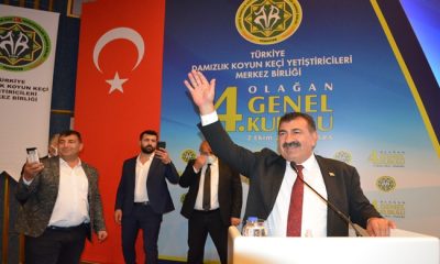 TÜDKİYEB GENEL BAŞKANI NİHAT ÇELİK GÜVEN TAZELEDİ