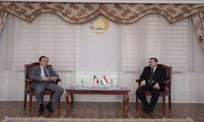 Meeting of the Deputy Minister with the Ambassador of Italy