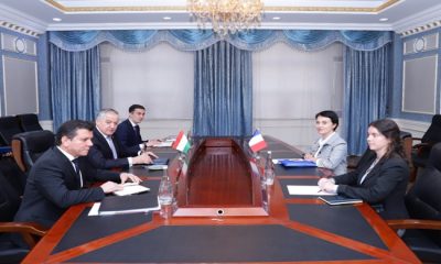 Meeting of the Minister of Foreign Affairs with the Ambassador of the French Republic