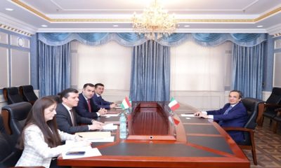 Meeting of the Deputy Minister with the Ambassador of Italy